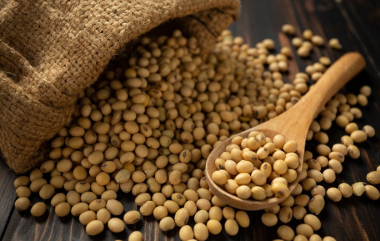 Soya bean as one of tradeasia refined glycerine product grade